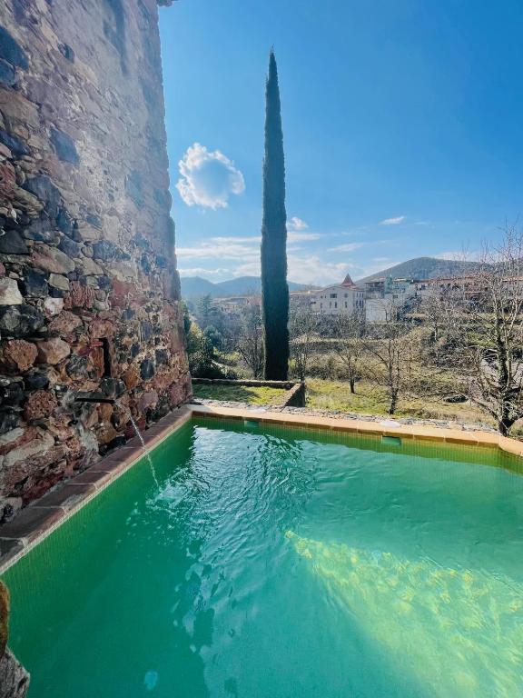 Piscina frente a un muro de piedra en Hotel Cal Sastre, en Santa Pau