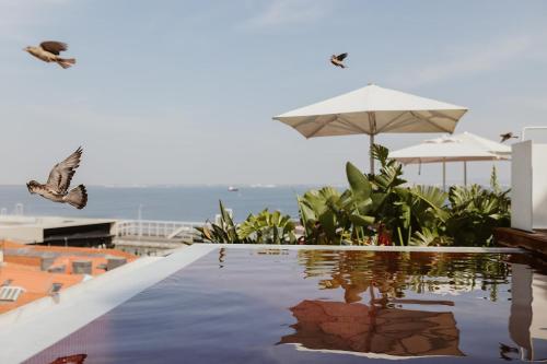 Memmo Alfama - Design Hotels: piscina exterior junto a una zona de descanso