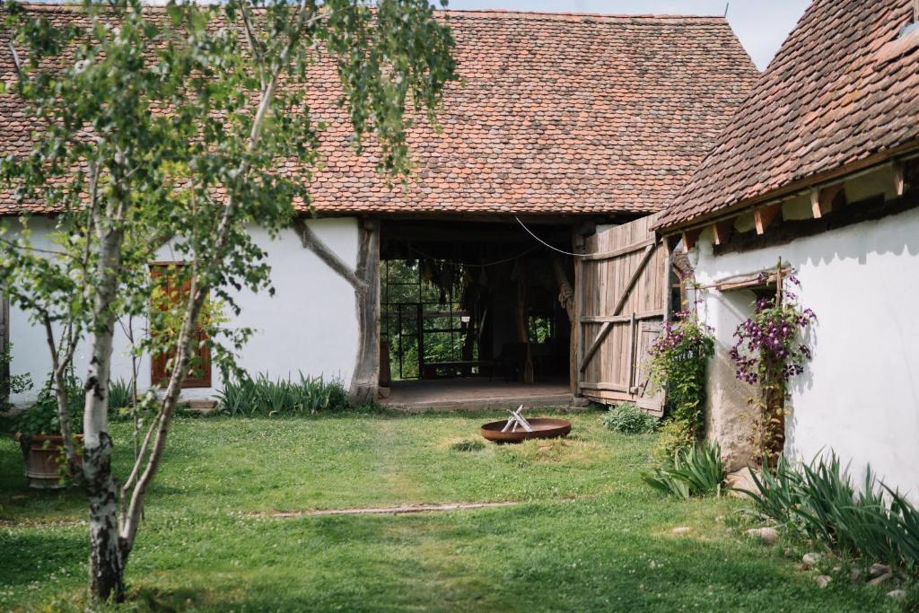 Patio rural y edificio tradicional de Viscri 9