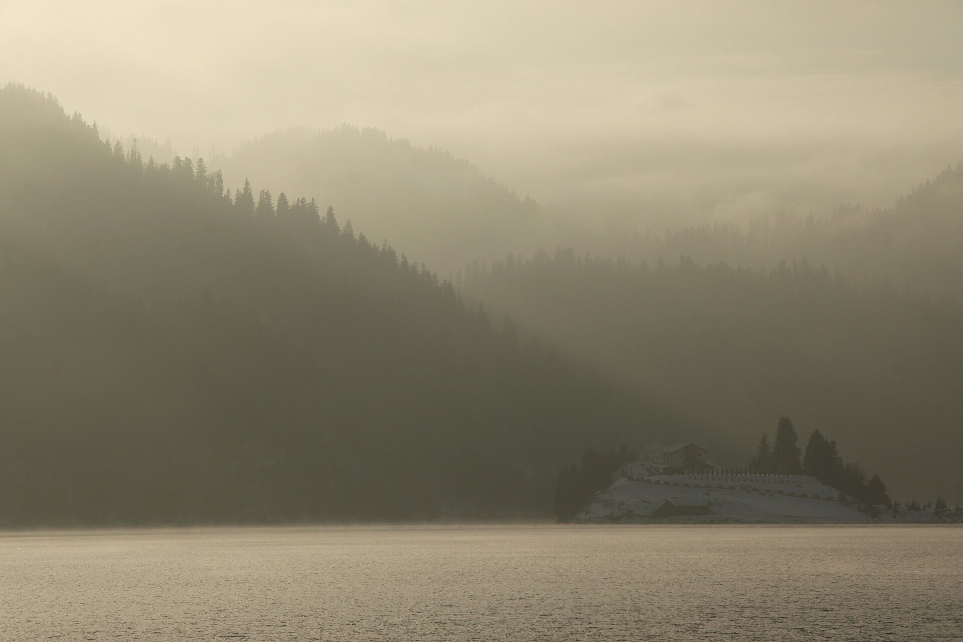 Bosques con niebla alrededor del lago Colibița en Bistrița-Năsăud